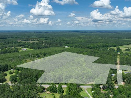 13.44 Acre Lot in Sylvania : Sylvania : Screven County : Georgia