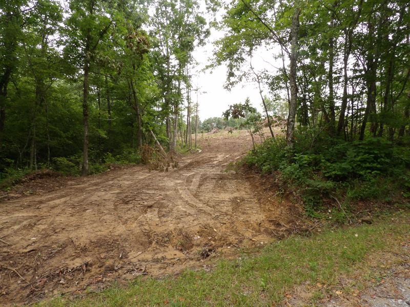 Creek, Level, Partially Cleared : Evensville : Bledsoe County : Tennessee