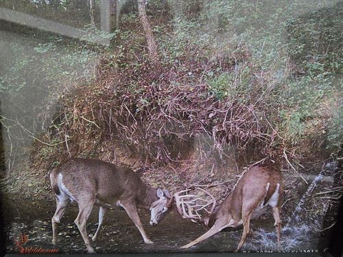 South Wea Creek Retreat : Louisburg : Miami County : Kansas