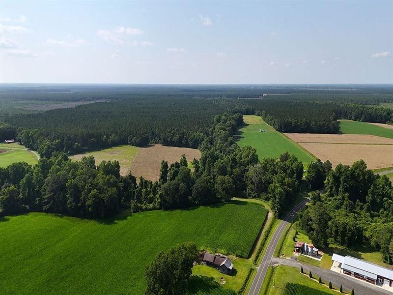 96.96 Acres of Unrestricted Rural : Richlands : Onslow County : North Carolina