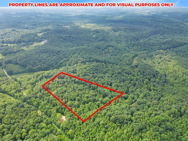 Cox Rd, 5 Acres, Vinton County : Vinton : Vinton County : Ohio