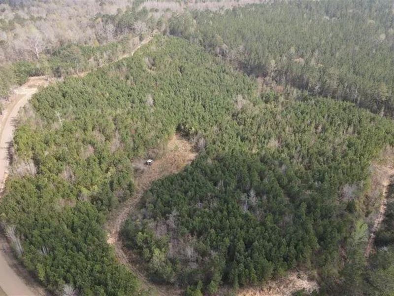 14 Acre Homesite Madison County Cam : Camden : Madison County : Mississippi