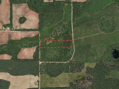 Christmas Road Tract Lot 3 : Campbellton : Jackson County : Florida