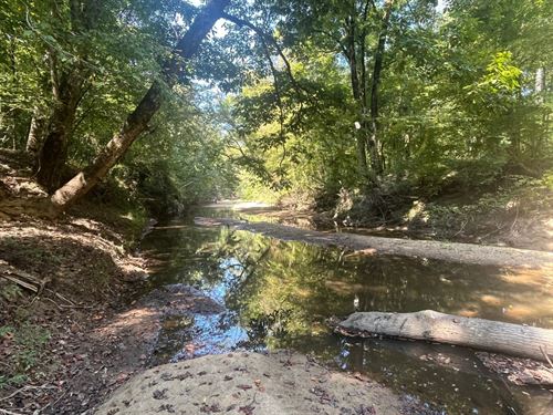 160 Acres Elmore & Coosa County : Equality : Coosa County : Alabama