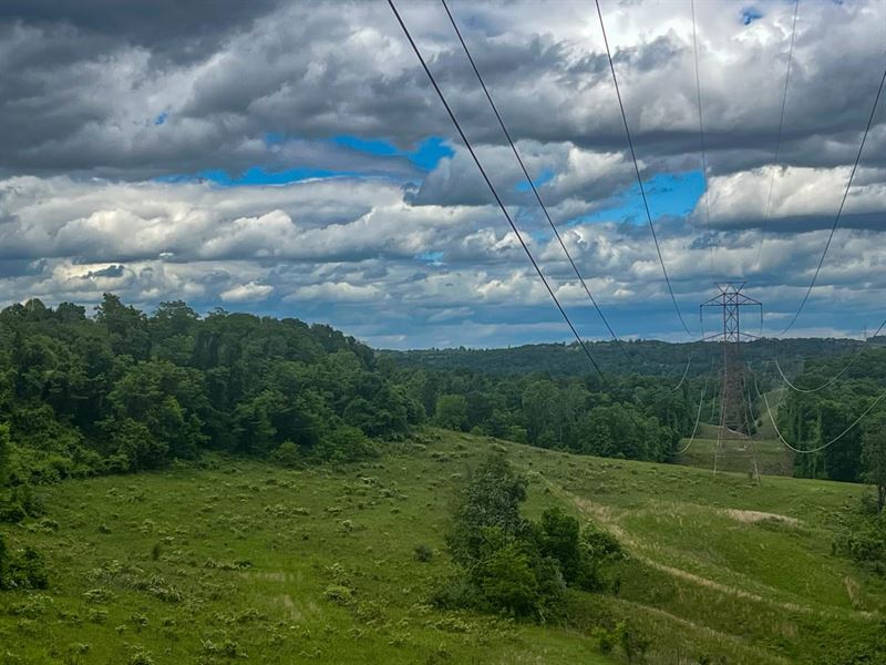 Green Hill Rd, 52 Acres, Monroe : Clarington : Monroe County : Ohio
