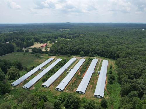 Styles Broiler Farm : Dawsonville : Dawson County : Georgia
