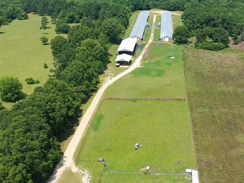 Aung Breeder Farm : Blackville : Barnwell County : South Carolina