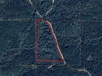 16 Acres, CR 111, Coosa County : Goodwater : Coosa County : Alabama