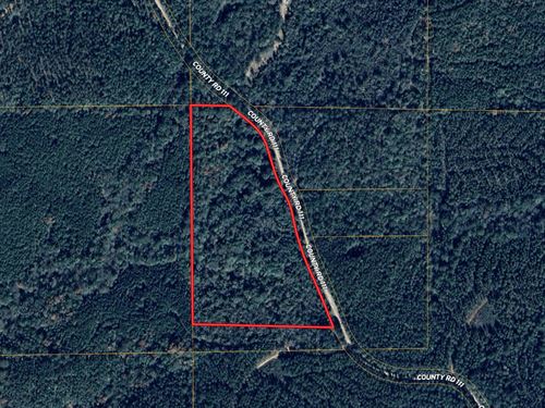 16 Acres, CR 111, Coosa County : Goodwater : Coosa County : Alabama