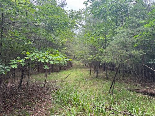 5 Acres, Hall County, Georgia : Gainesville : Hall County : Georgia