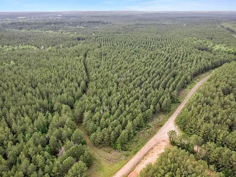 San Augustine Lot, Paved Access : San Augustine : San Augustine County : Texas