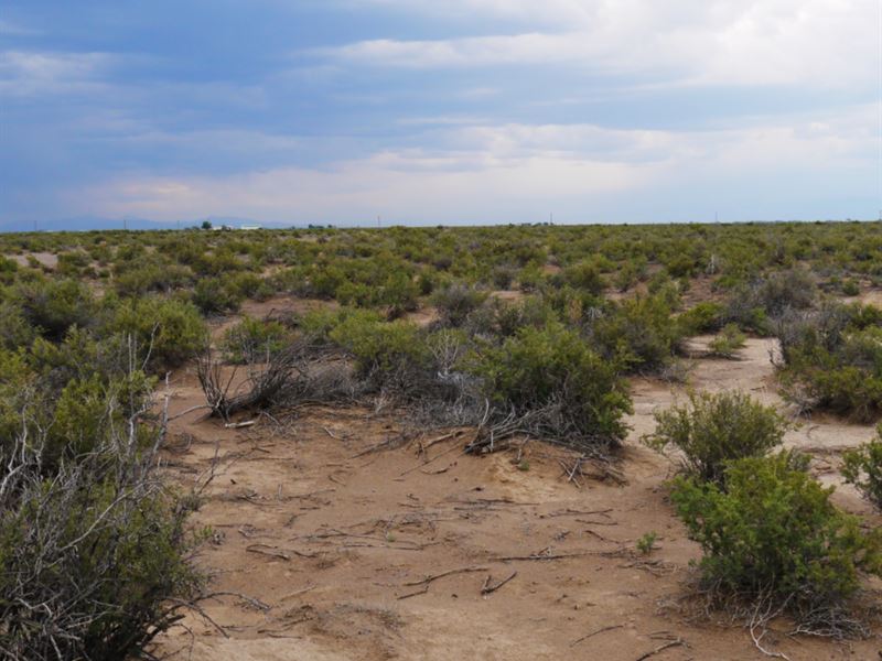 5 Acres in Alamosa County, CO : Alamosa : Alamosa County : Colorado