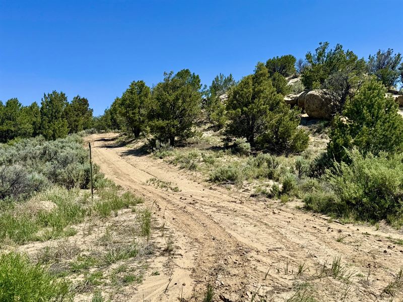 What a View Ranch : Lindrith : Rio Arriba County : New Mexico