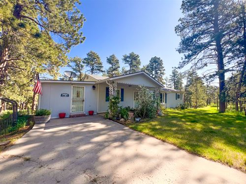 Wilde Elizabeth Horse Property : Elizabeth : Elbert County : Colorado