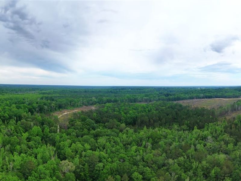 700 Acre Sportsmans Paradise NE : Shorter : Macon County : Alabama