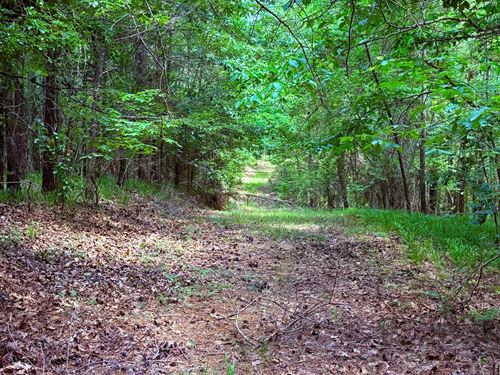 58 Acres In Carroll County, MS : Carrollton : Carroll County : Mississippi