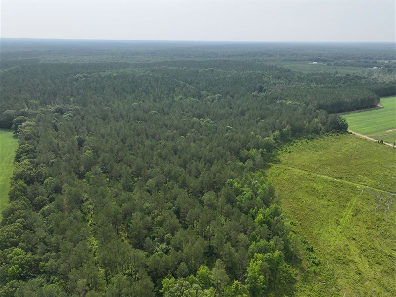 135 Acres in Chickasaw County, MS : Mantee : Chickasaw County : Mississippi