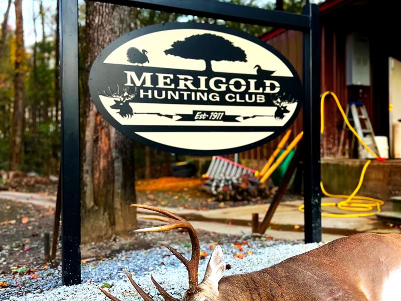 One Equity Share & A Cabin : Beulah : Bolivar County : Mississippi