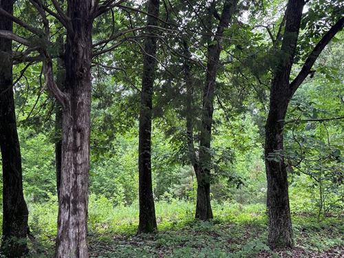 28.48 Acres In Panola County, MS : Batesville : Panola County : Mississippi