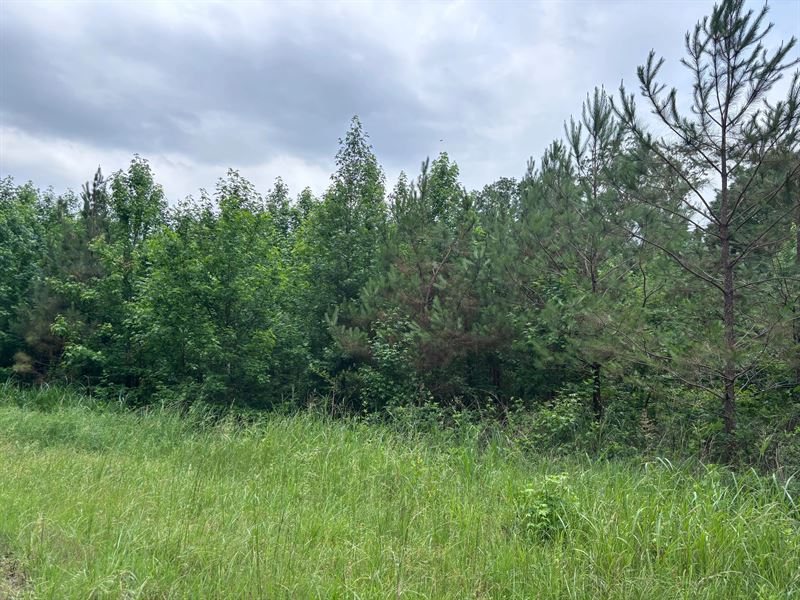 28.48 Acres in Panola County, MS : Batesville : Panola County : Mississippi