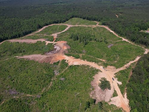 72.83 Acres In Attala County, MS : West : Attala County : Mississippi