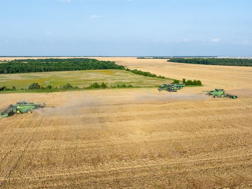Investment-Grade Row Crop Farm : Bogata : Red River County : Texas