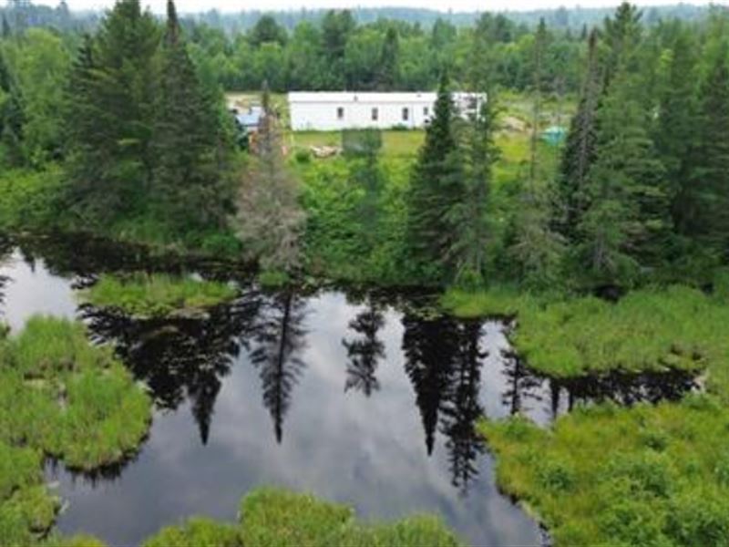 One-Of-A-Kind 40 Acres : Republic : Marquette County : Michigan