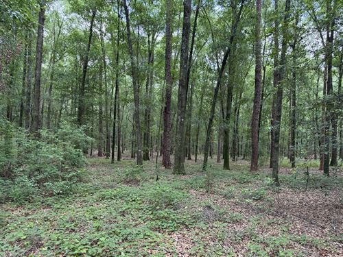 Nine or More : Ariton : Dale County : Alabama