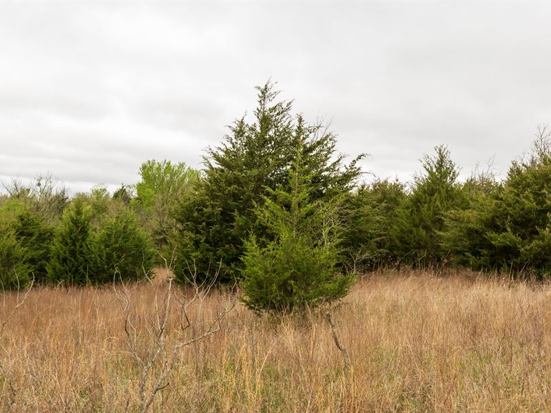 $999 Down and no Credit Check : Bearden : Okfuskee County : Oklahoma