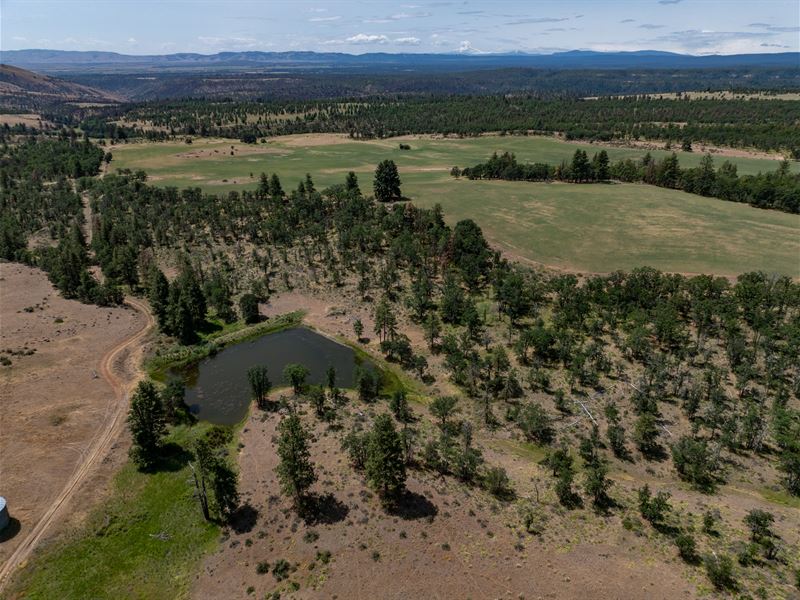 Friend Ranch 1000 : Dufur : Wasco County : Oregon