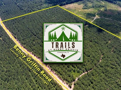 43.29 Acres, T-4, Trails at Benny : Dallardsville : Polk County : Texas