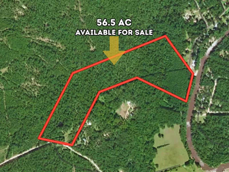 56.5 AC Creekfront Lot in Polk, TX : Onalaska : Polk County : Texas