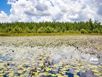 Four Ponds Tract, 120 Ac Recreatio : Sneads : Jackson County : Florida