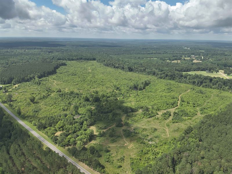 Long Creek Timberland Property : Warrenton : Warren County : Georgia