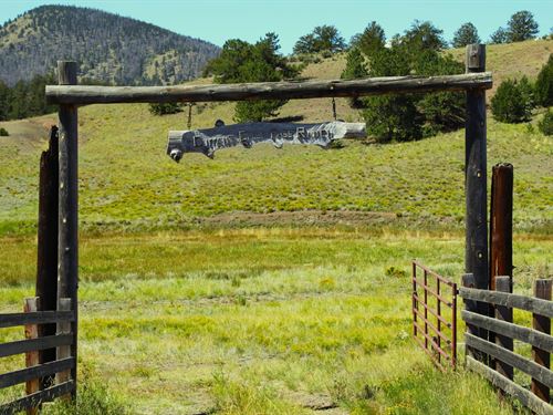 Current Creek Ranch : Guffey : Park County : Colorado