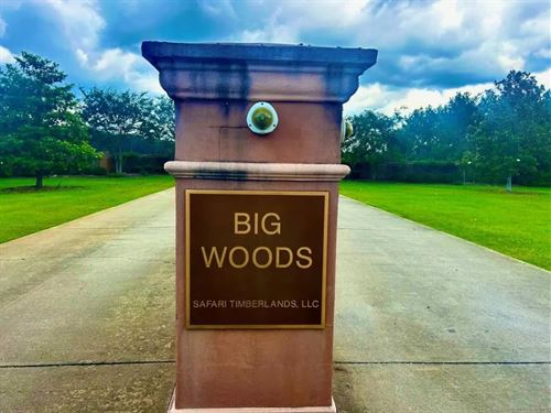 The Big Woods Neighborhood in Hatti : Hattiesburg : Forrest County : Mississippi