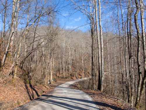 $999 Down, Will Not Last : Ogle : Clay County : Kentucky