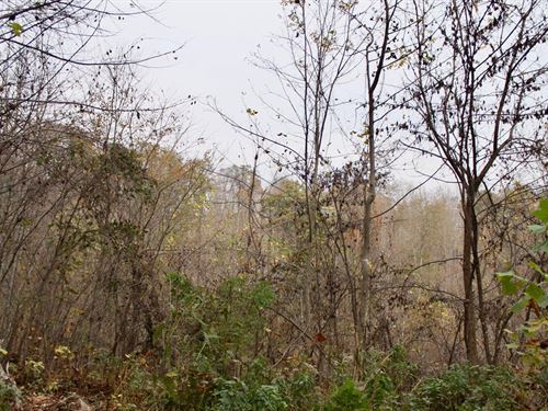 No Credit Check Land, $999 Down : Hyden : Leslie County : Kentucky