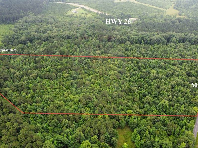 15.05 Surveyed Acres in Clark : Arkadelphia : Clark County : Arkansas