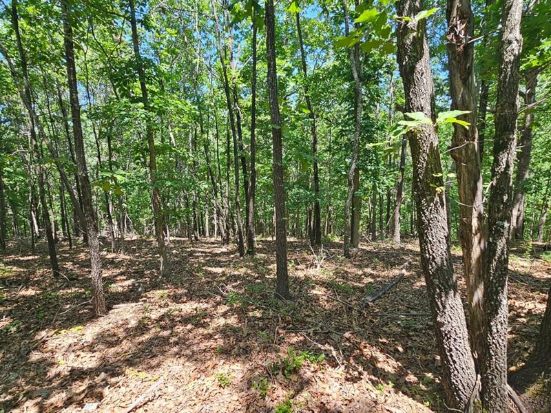 Marion Co 20 : Peel : Marion County : Arkansas