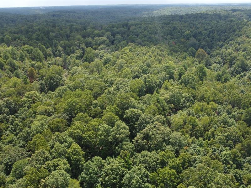 Marion Co 20 : Peel : Marion County : Arkansas