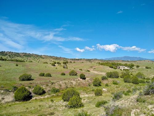 Mustang Arroyo at Ghost Ranch : Rye : Huerfano County : Colorado