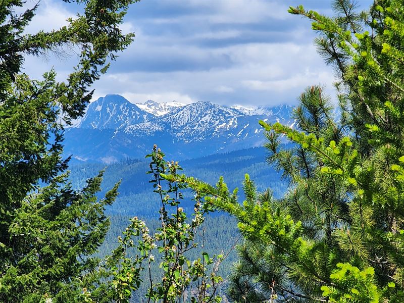 Cle Elum 129 Acres : Cle Elum : Kittitas County : Washington