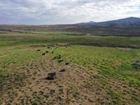 Johnson Pastures : Craig : Moffat County : Colorado