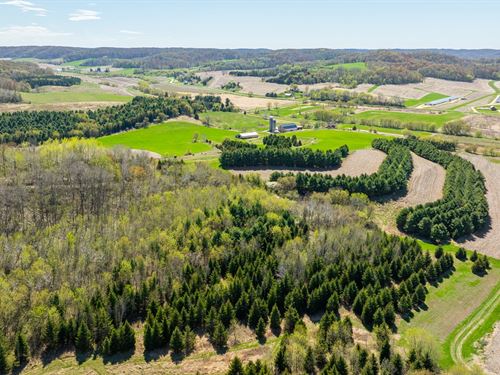 91 Acres Buffalo County : Mondovi : Buffalo County : Wisconsin