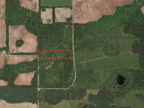 Christmas Road Tract Lot 5 : Campbellton : Jackson County : Florida
