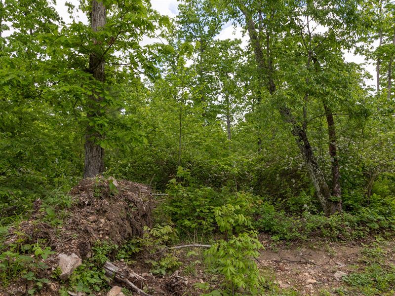 Sleepy Hollow Phase II Tract 74 : Hartshorn : Texas County : Missouri