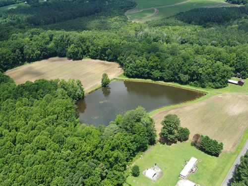 13 Acres in Nash County with Pond : Nashville : Nash County : North Carolina