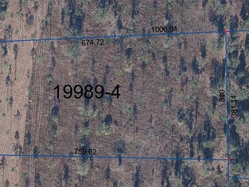 5.20 Acres with Plenty of Room : Hawthorne : Alachua County : Florida