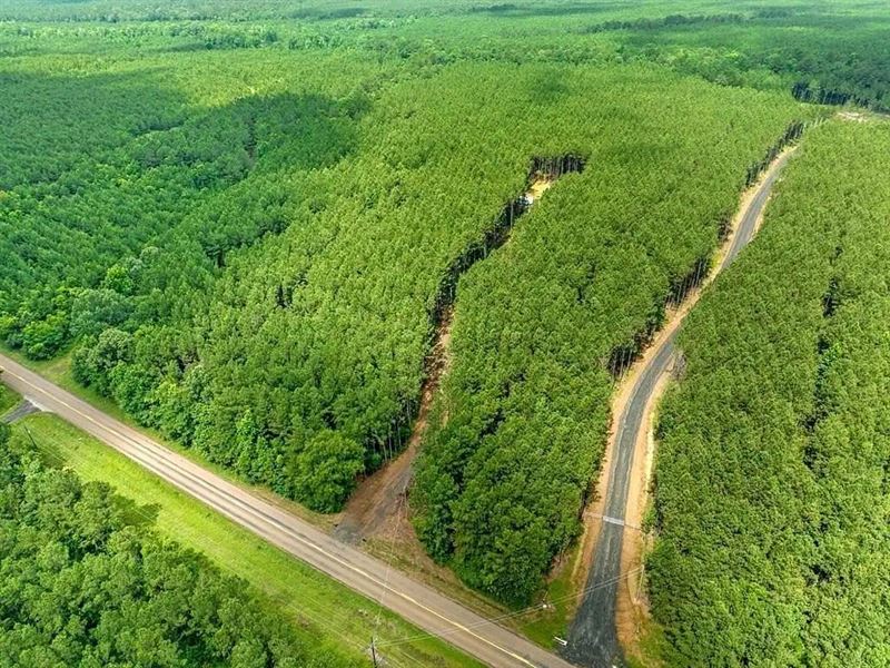 Rayburn Ranch Lot in San Augustine : San Augustine : San Augustine County : Texas